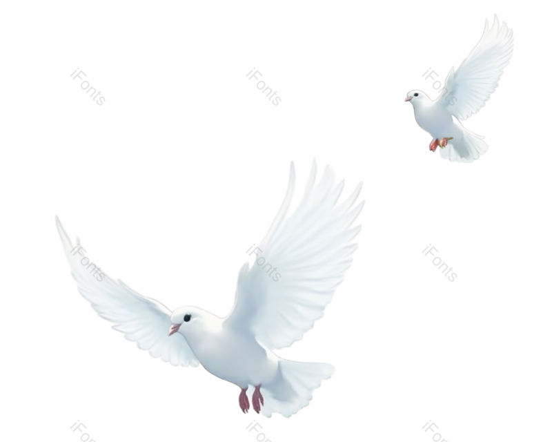 元素图片,鸽子元素,插画动物PNG,小鸟免抠素材